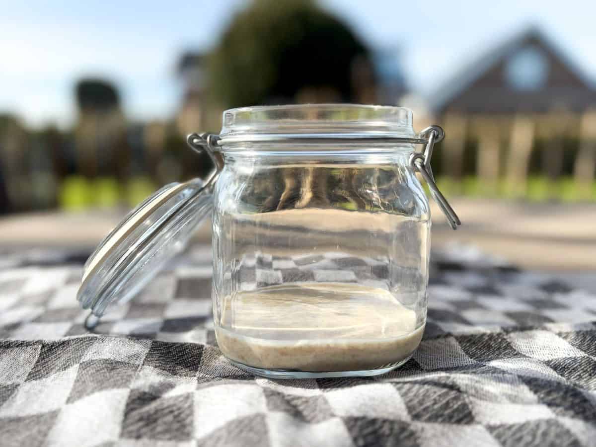 Day one of making a sourdough starter.
