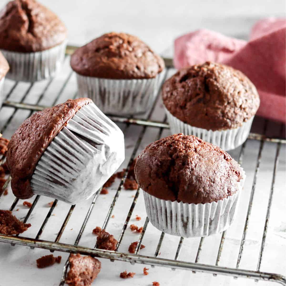 Four sourdough chocolate cupcakes.