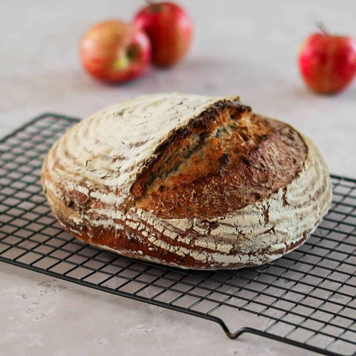 Sourdough apple bread with three apples.