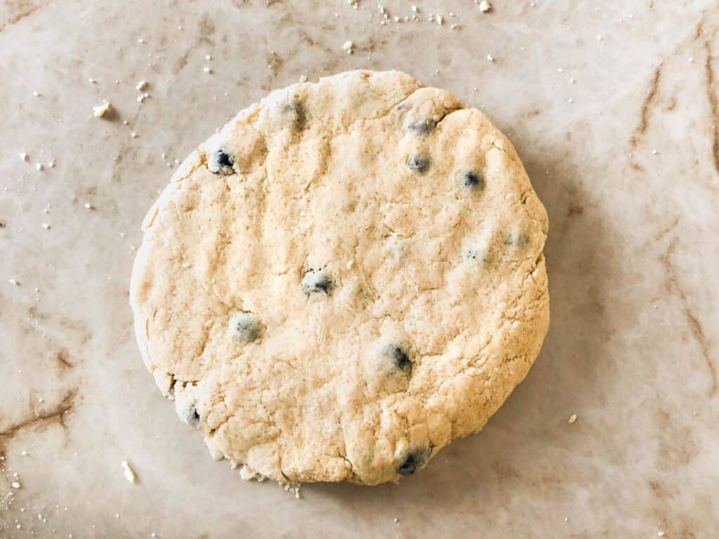 Dough shaped into a 1-inch thick disk.