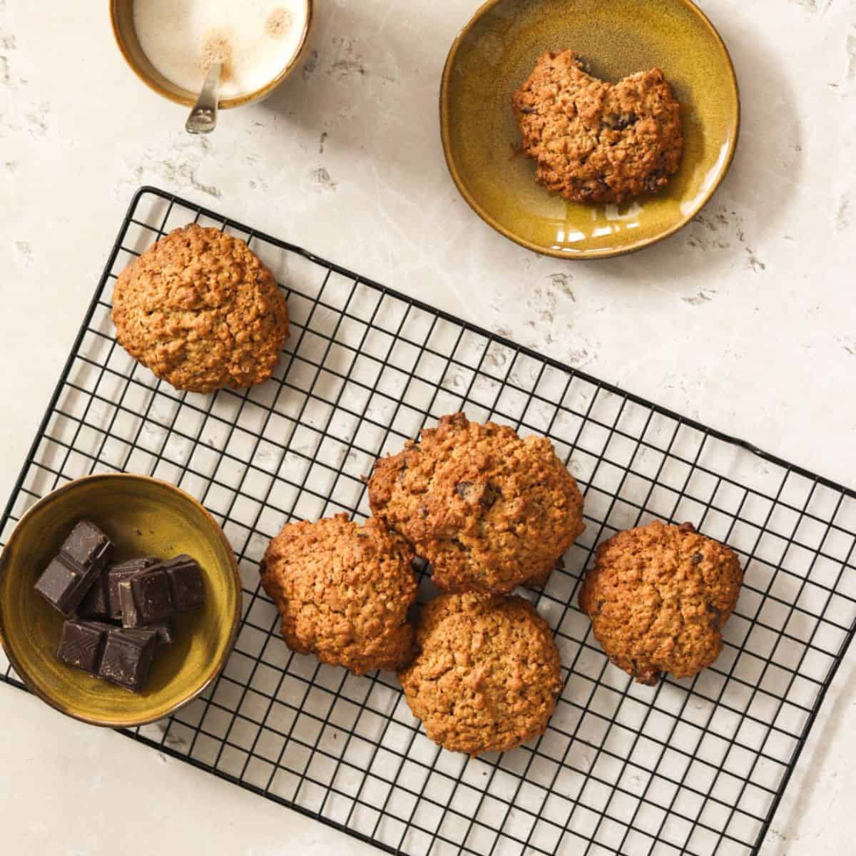 Sourdough Oatmeal Chocolate Chip Cookies