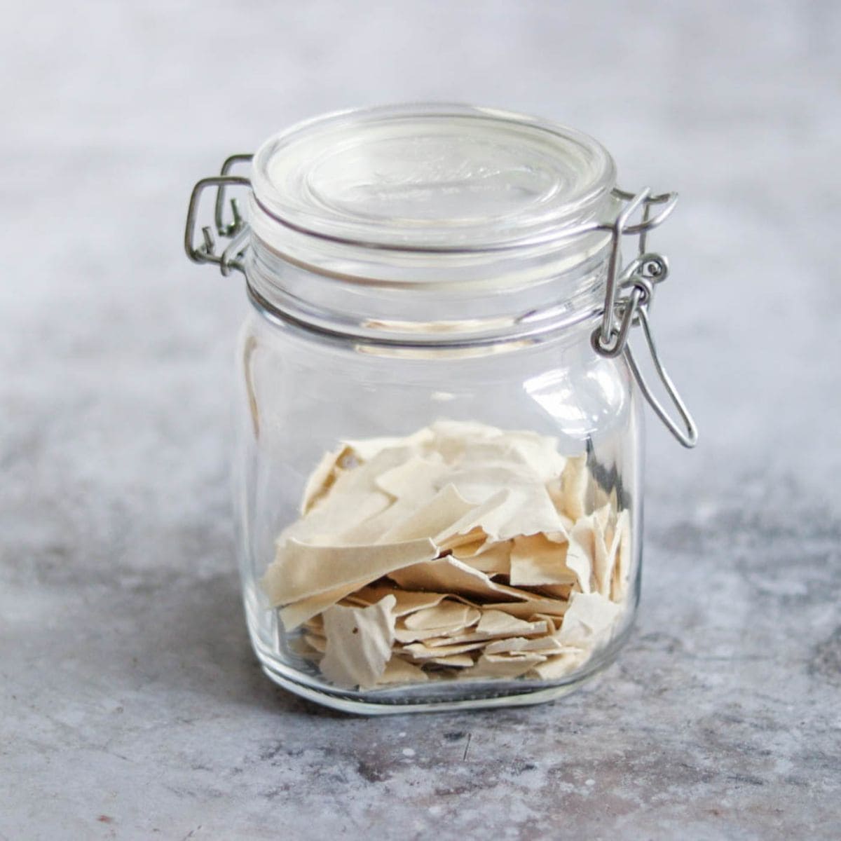How to Dehydrate a Sourdough Starter
