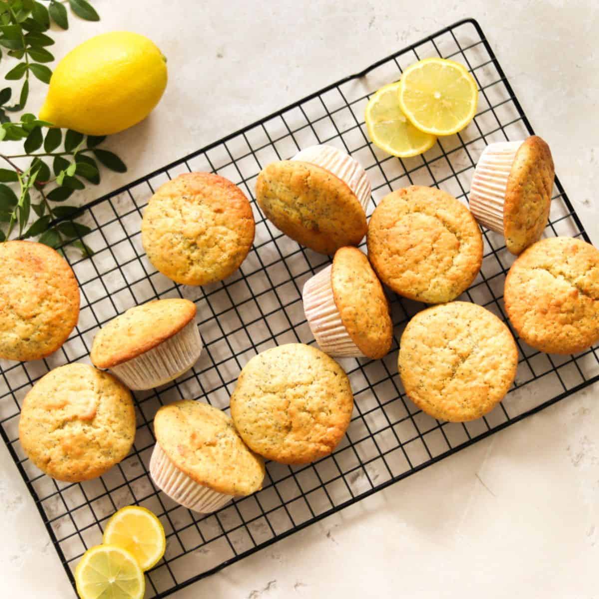 Lemon poppy seed sourdough muffins on a wire rack.