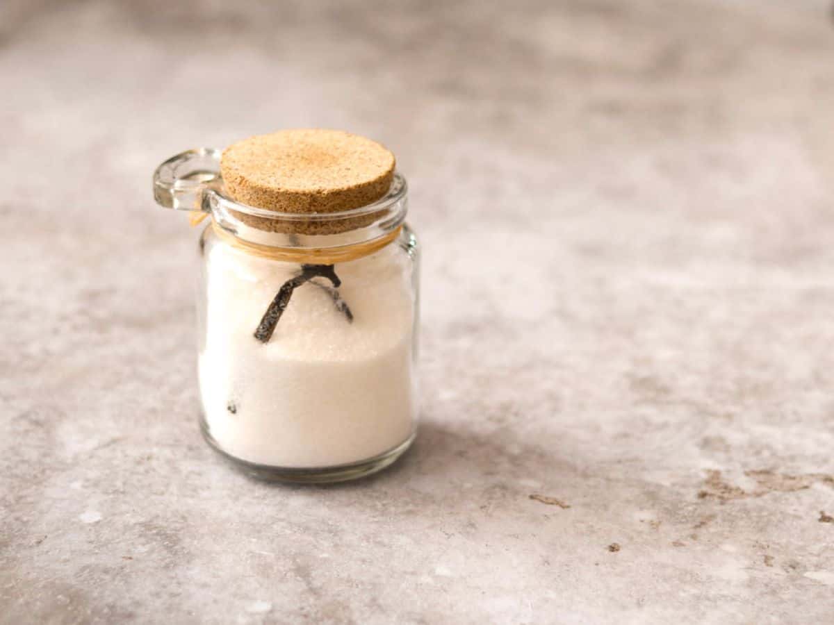 Vanilla bean sugar in a jar.